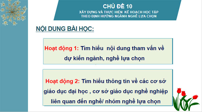 PowerPoint Hoạt động trải nghiệm 11 Chủ đề 10