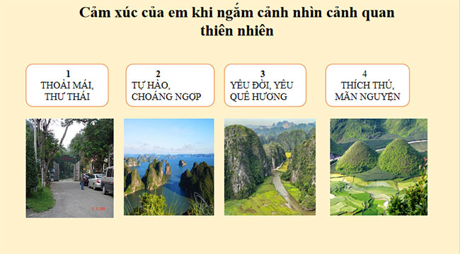 Giáo án HĐTN 11 Chủ đề 6: Bảo tồn cảnh quan thiên nhiên
