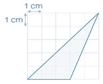 Vở bài tập Toán lớp 5 Cánh diều Bài 51: Diện tích hình tam giác