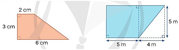 Toán lớp 5 trang 13 Bài 3 tập 2 Cánh Diều