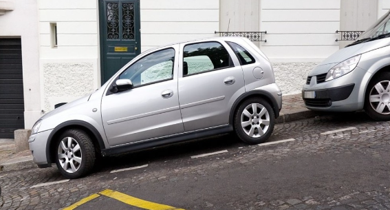 Luyện tập 3 trang 174 KHTN lớp 6