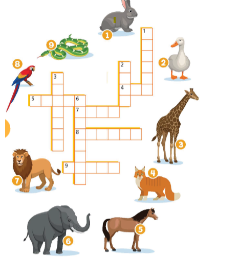 Sách bài tập Tiếng Anh 6 Right on Unit 5 5c Vocabulary