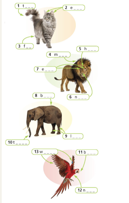 Sách bài tập Tiếng Anh 6 Right on Unit 5 5c Vocabulary