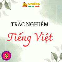 Trắc nghiệm bài Ngày hội rừng xanh lớp 3 Kết nối tri thức