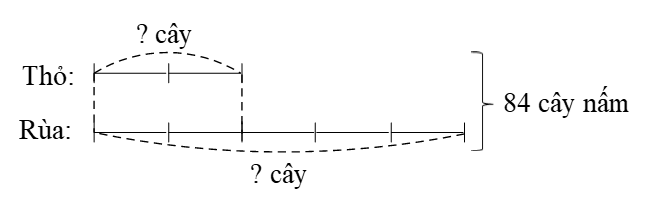 Toán lớp 5 Kết nối tri thức Bài 44: Luyện tập chung