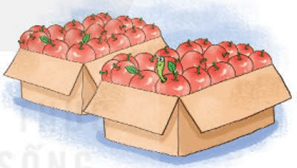 Toán lớp 5 Kết nối tri thức Bài 44: Luyện tập chung