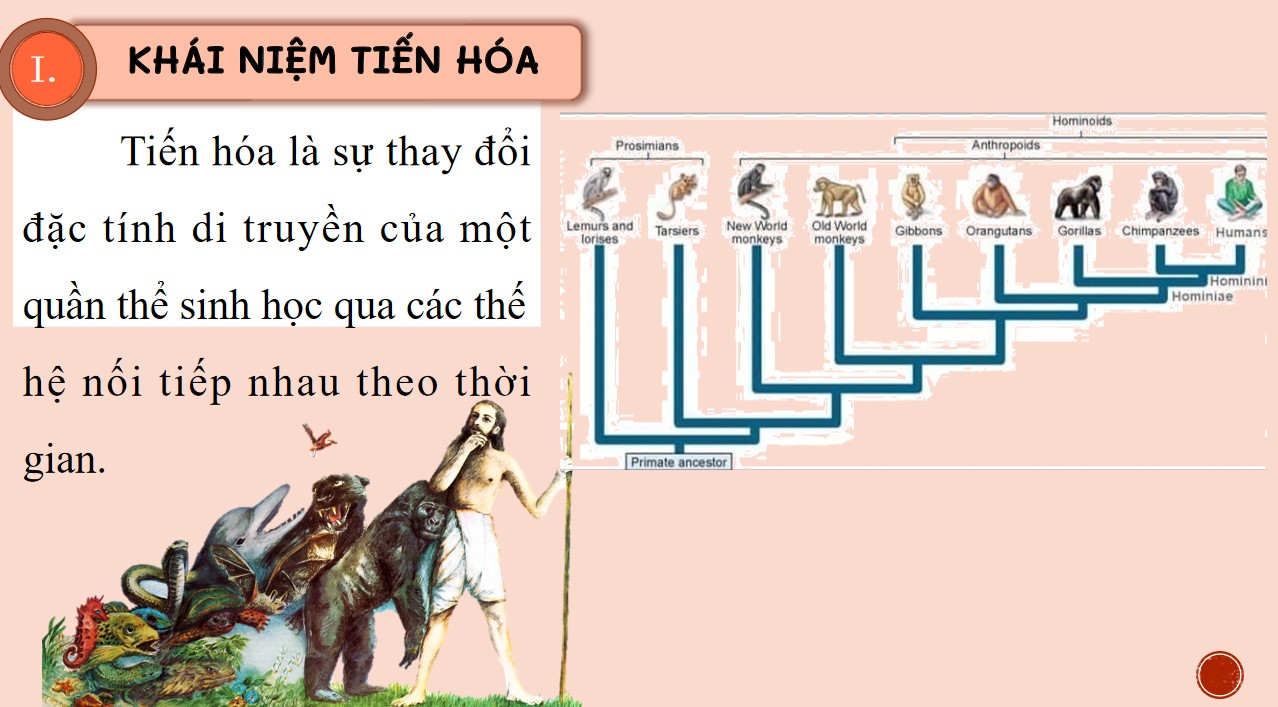 PowerPoint Khoa học tự nhiên 9 KNTT Bài 49