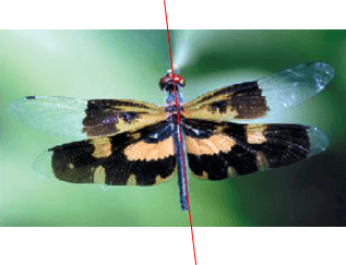 Thực hành 2 trang 59 Toán 6 Tập 2 Chân trời sáng tạo | Giải Toán lớp 6