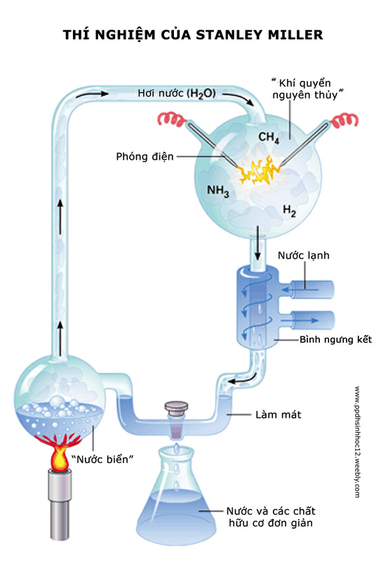 Tác giả - tác phẩm: Sinh vật trên Trái Đất được hình thành như thế nào - Tác giả tác phẩm (mới 2024) | Ngữ văn lớp 6 Kết nối tri thức