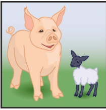 Đề reading TOEFL Primary step 1 - Part 1