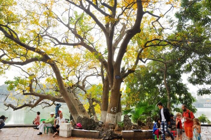 Tiếng Việt lớp 5 trang 36 Tập 2 Chân trời sáng tạo