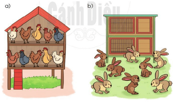 Toán lớp 2 trang 26, 27 Luyện tập chung | Cánh diều