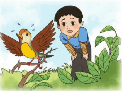 Chích bông ơi - Tác giả tác phẩm (mới 2024) | Ngữ văn lớp 6 Cánh diều