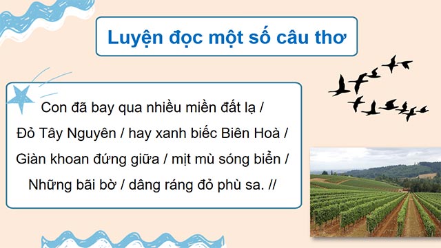 PowerPoint Tiếng Việt 5 Bay trên mái nhà của mẹ
