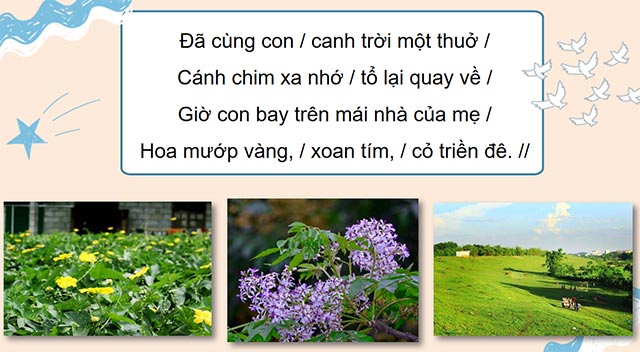 PowerPoint Tiếng Việt 5 Bay trên mái nhà của mẹ