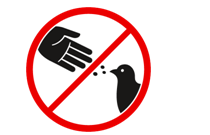 Đề thi giữa kì 2 tiếng Anh 6 Right on số 1