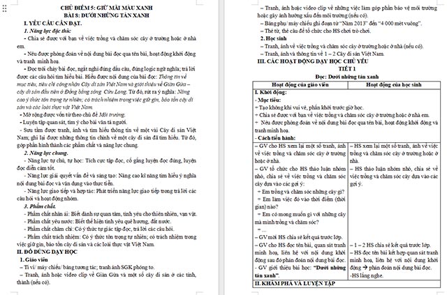 Giáo án Tiếng Việt 5 Dưới những tán xanh