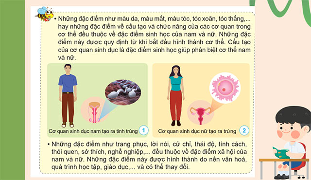 PowerPoint Khoa học 5 Nam và nữ