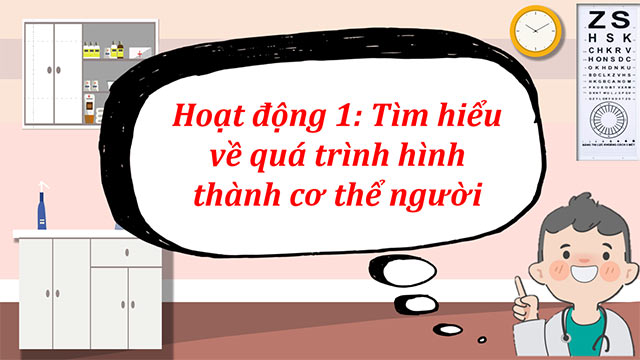 PowerPoint Khoa học 5 Sự sinh sản ở người