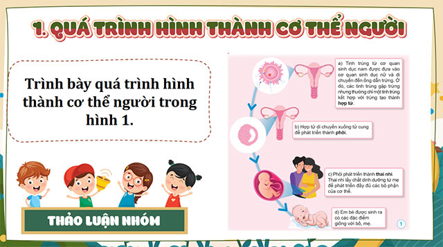 PowerPoint Khoa học 5 Sự sinh sản ở người