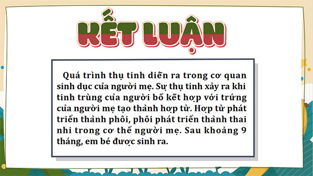 PowerPoint Khoa học 5 Sự sinh sản ở người