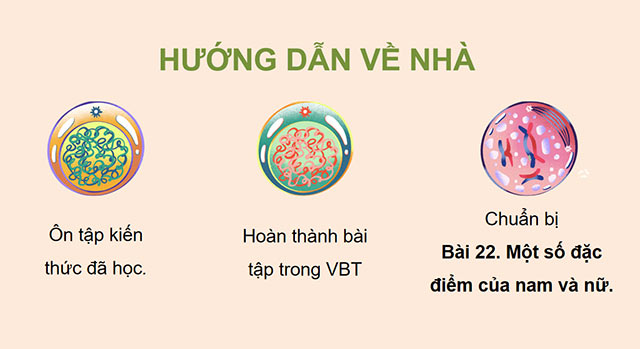 PowerPoint Khoa học 5 Ôn tập chủ đề Vi khuẩn
