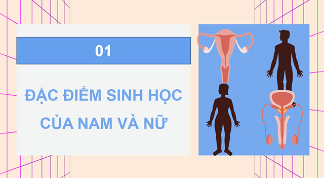 PowerPoint Khoa học 5 Một số đặc điểm của nam và nữ