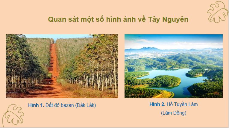 Bài 19: Thiên nhiên vùng Tây Nguyên