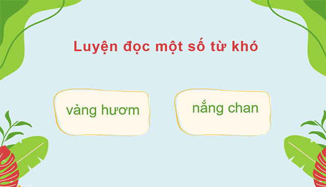 PowerPoint Tiếng Việt 5 Hè vui