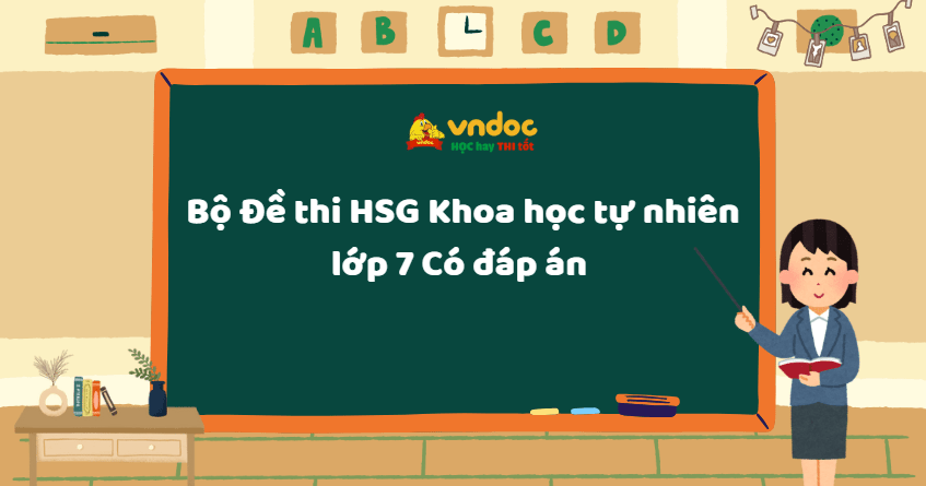 Bộ Đề thi HSG lớp 7 môn Khoa học tự nhiên Có đáp án 