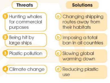 Tiếng Anh 12 Global Success Review 3 Skills