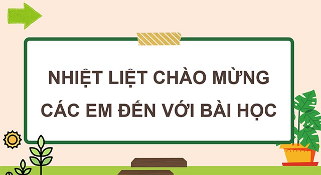 Giáo án PowerPoint Khoa học 5 Chân trời sáng tạo