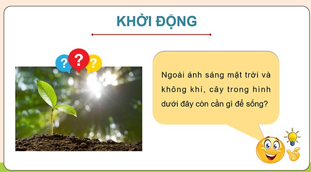 Giáo án PowerPoint Khoa học 5 Chân trời sáng tạo