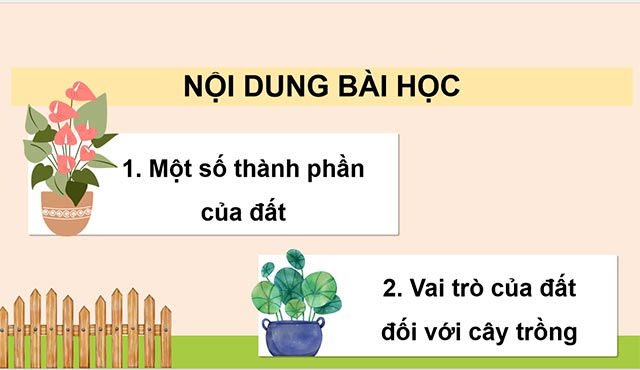 Giáo án PowerPoint Khoa học 5 Chân trời sáng tạo