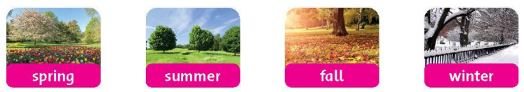 Family and Friends 5 National Edition Fluency Time 3 Lesson 2