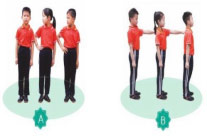 Dóng hàng