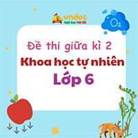 Đề thi giữa kì 2 lớp 6 môn Khoa học tự nhiên sách Cánh diều theo CV 7991