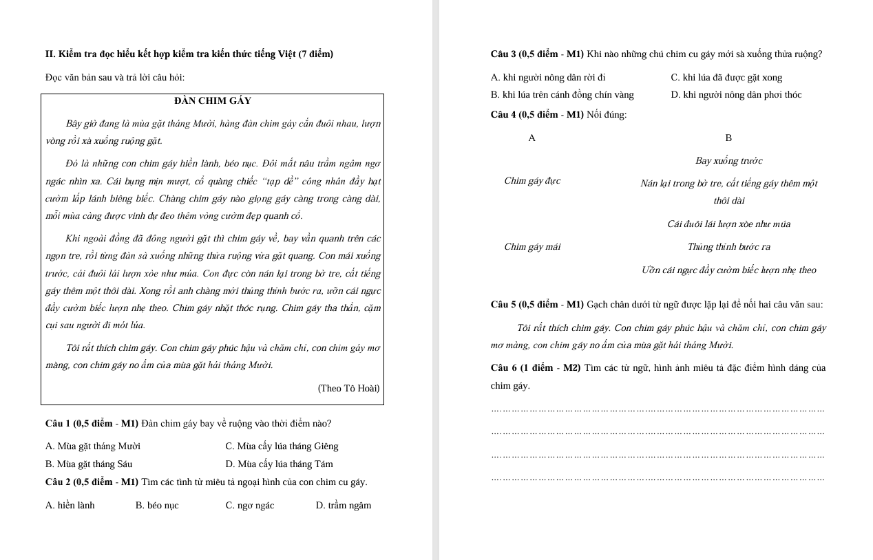 Đề thi cuối học kì 2 môn Tiếng Việt lớp 5 Chân trời sáng tạo