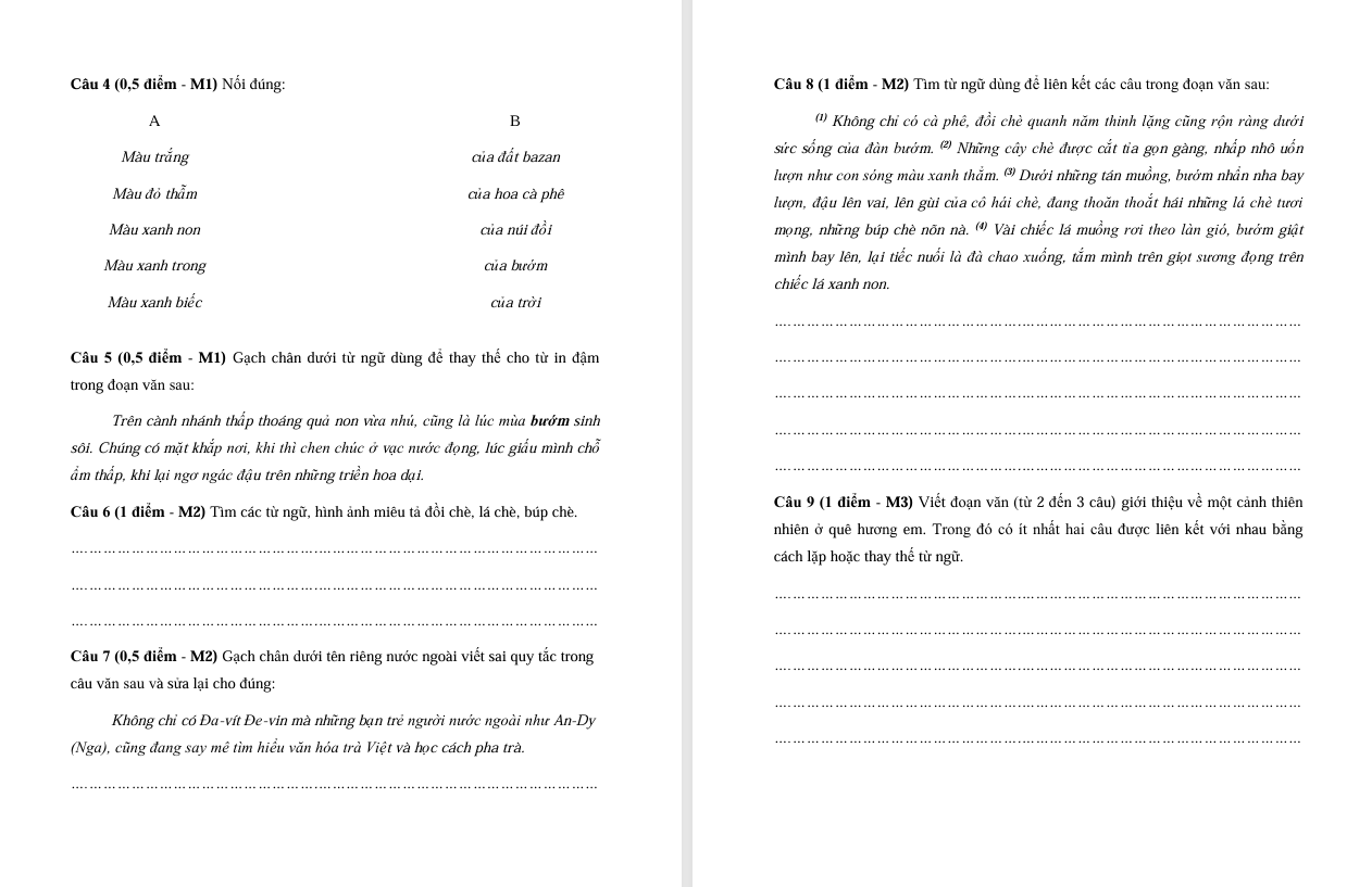 Đề thi cuối học kì 2 môn Tiếng Việt lớp 5 Chân trời sáng tạo