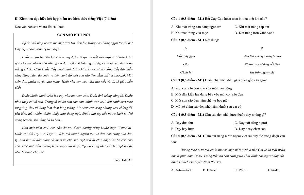 Đề thi cuối học kì 2 môn Tiếng Việt lớp 5 Chân trời sáng tạo