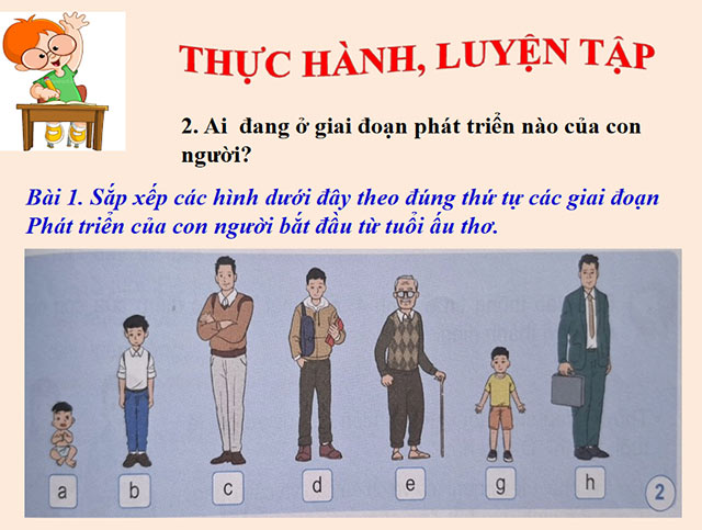PowerPoint Khoa học 5 Quá trình phát triển của con người