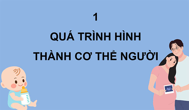 PowerPoint Khoa học 5 Sự sinh sản ở người