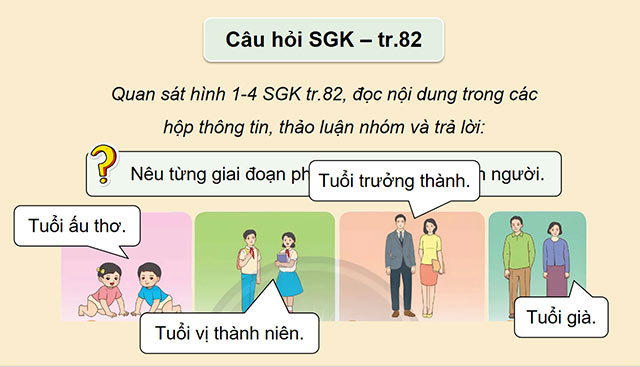 PowerPoint Khoa học 5 Các giai đoạn phát triển của con người