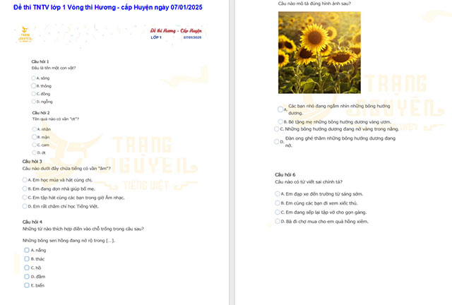 Đề thi Trạng nguyên Tiếng Việt lớp 1 cấp Huyện năm 2024 - 2025