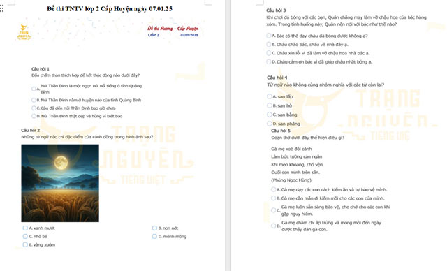 Đề thi Trạng nguyên Tiếng Việt lớp 2 cấp Huyện năm 2024 - 2025 