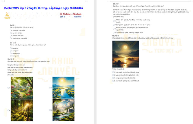 Đề thi Trạng nguyên Tiếng Việt lớp 5 năm 2024 - 2025 cấp Huyện