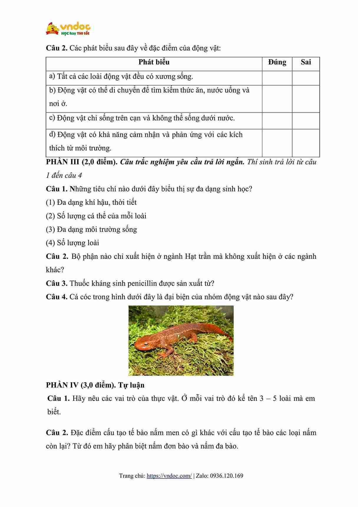 de thi giua ki 2 lop 6 mon khoa hoc tu nhien sach canh dieu hinh anh 2 1*680388