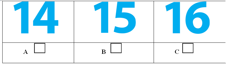 Đề thi học kì 2 tiếng Anh lớp 3 Family and Friends số 1