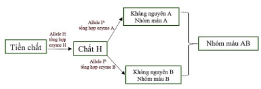 Đề thi thử THPT Quốc gia môn Sinh