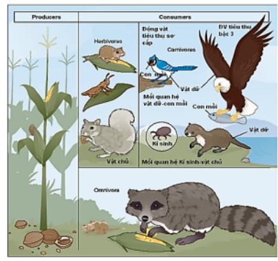 Đề thi thử THPT Quốc gia môn Sinh